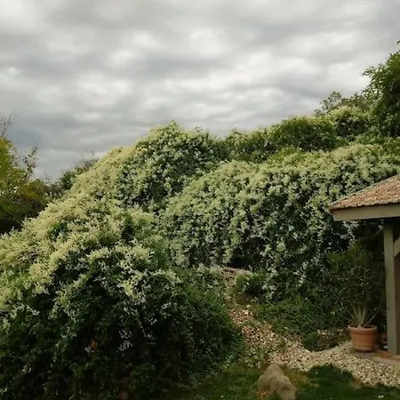 Templomdomb Vendeghaz Dunakanyar Lägenhet