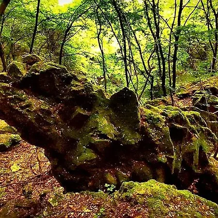 Templomdomb Vendeghaz Dunakanyar Lägenhet *